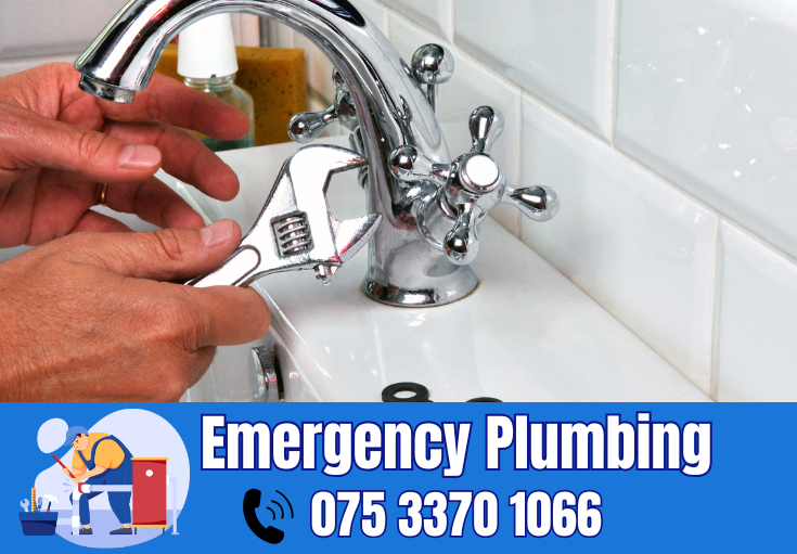  plumber Borough Green