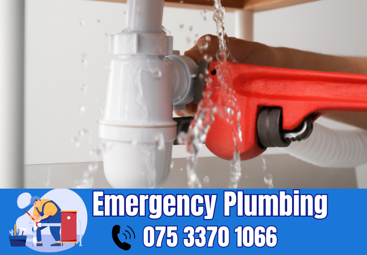  plumber Platt